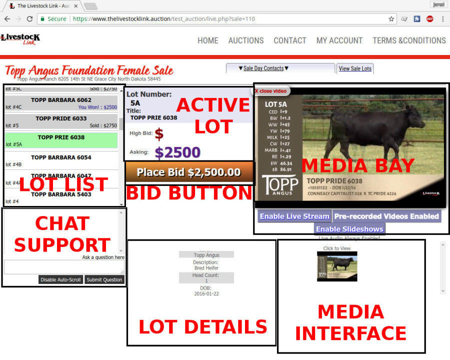 Live Auction Bidder User Interface Guide