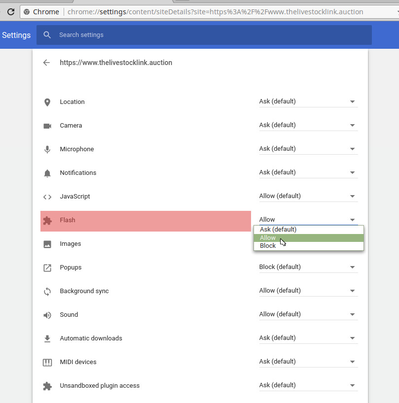 Chrome Guide Step 5